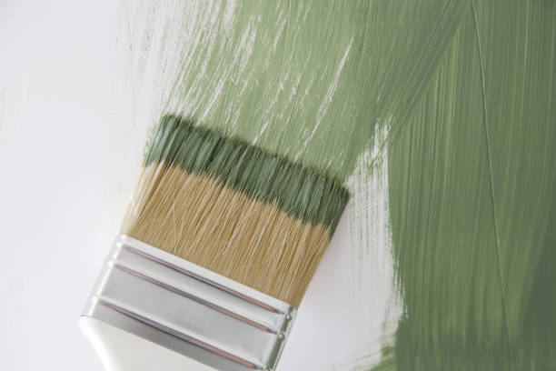 Best Mold Prevention Services  in Hillsboro, KS