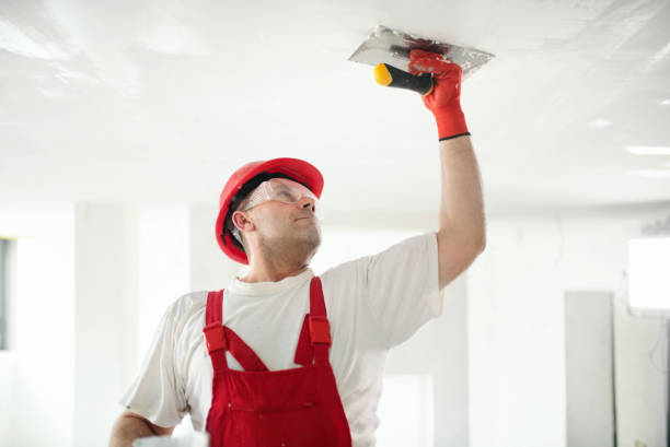 Hillsboro, KS Mold Removal Company