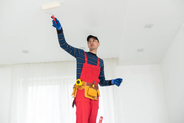  Hillsboro, KS Mold Removal Pros