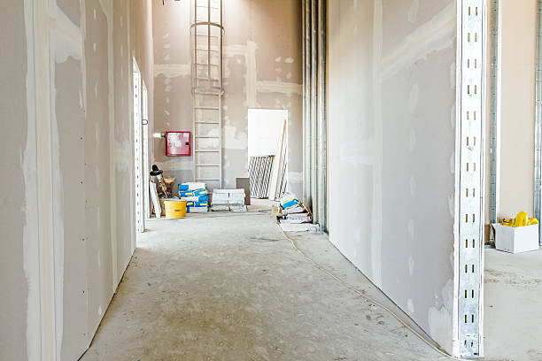 Best Post-Construction Mold Inspection  in Hillsboro, KS