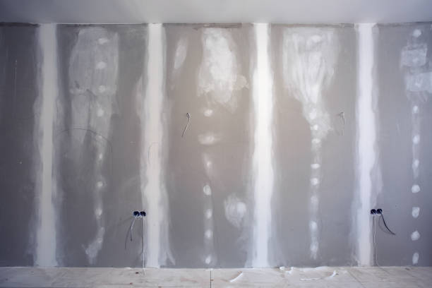 Best Mold Damage Restoration  in Hillsboro, KS
